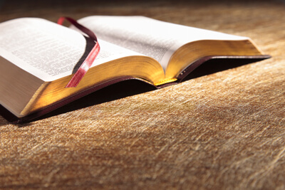 Bible book Bible book